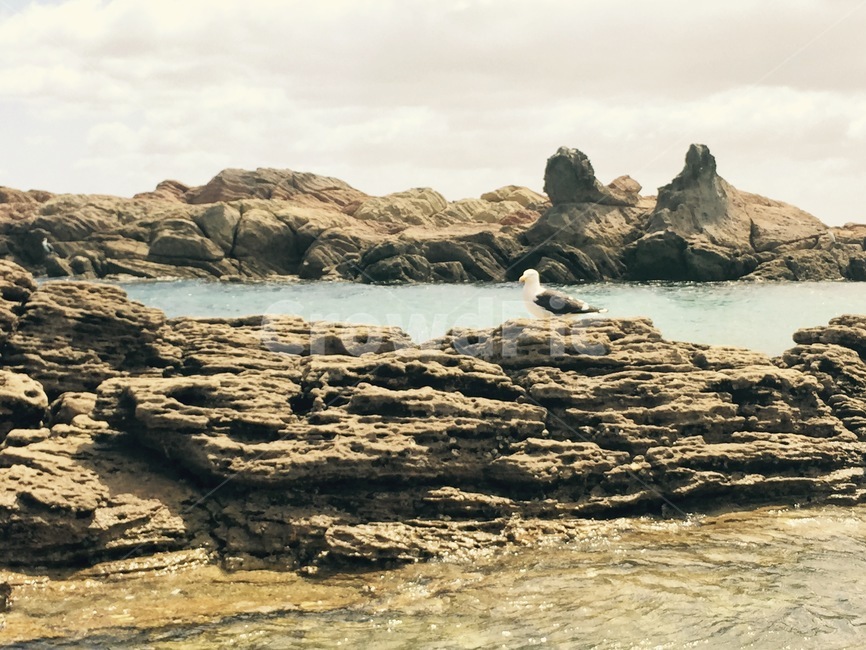 뉴질랜드,하늘,날씨,나무,자연,모래,산,newzealand,mountain,cloud,sky,green,promontory,곶,shoreline,해안선,바다,sea,nature,물,water,ocean,대양,outdoors,옥외,land