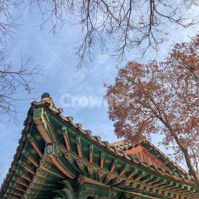 korea,koreanhouse,가을,fall,가을풍경,한국전통,한국문화,korean traditional,korean culture,건축물,건물외관,exterior,building,structure,architecture,construction