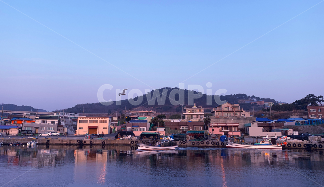 항구,port,갈매기,seagull,mew,gull,seamew,seagull,바다,잔잔한바다,바닷가,sea,하늘,sky,도시,풍경,city,landscape,한국도시풍경,한국도시경관,korea cityscape,water,물,waterfront,워터 프론트,포트,dock,독,pier,교각