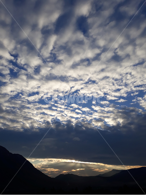 하늘,구름,하늘색,하늘풍경,해질녘,sky,양떼구름,풍경,cloud,햇빛,선샤인,sunshine,자연,풍경,nature,landscape,outdoors,옥외,weather,날씨