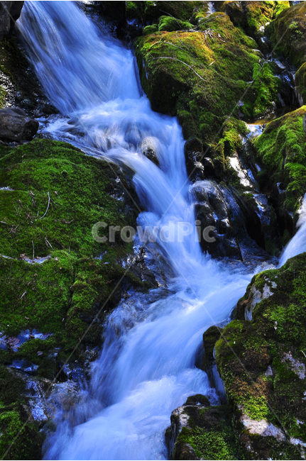 폭포,계곡,이끼,힐링,물,명산,시원함,cool,valley,healing,water,summer,휴식,쉼,맑은,흐르다,flow,mountain,waterfall,landscape,nature,자연풍경,자연,풍경,계절,시즌,rest,한국자연풍경,여름,자연,풍경,nature,landscape,river,강,outdoors,옥외