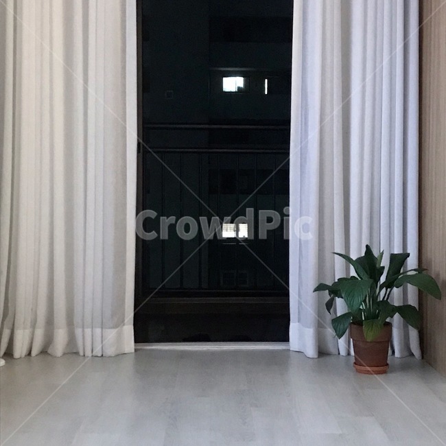 까만밤,집,밤,커튼,화분,인테리어,실내디자인,interior design