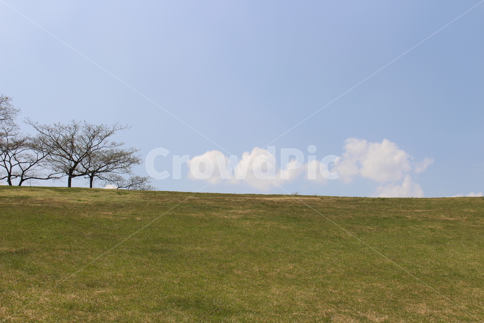 들판,풀밭,하늘,나무,야외,구름,field,sky,tree,outdoor,소풍,cloud,파랑,녹색,흰색,풍경,배경,봄,자연,풍경,nature,landscape,grassland,목초지,outdoors,옥외,들,plant,식물,grass,잔디