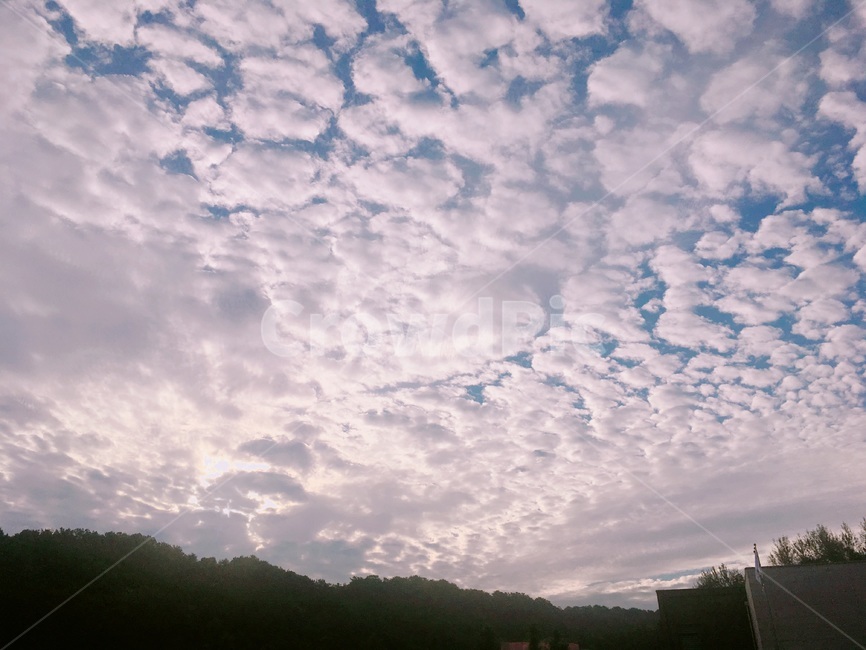 하늘,구름,맑음,배경,풍경