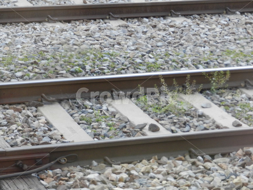 기찻길,기차선로,기차길,railroadtrack,railroad,traintrack,기차가다니는길