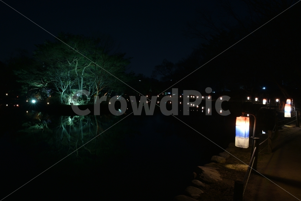 Nikon,D750,서울,창경궁,야간개장,야경,반영,등불,야경,밤,풍경,nightscape,night,landscape,한국전통,한국문화,korean traditional,korean culture