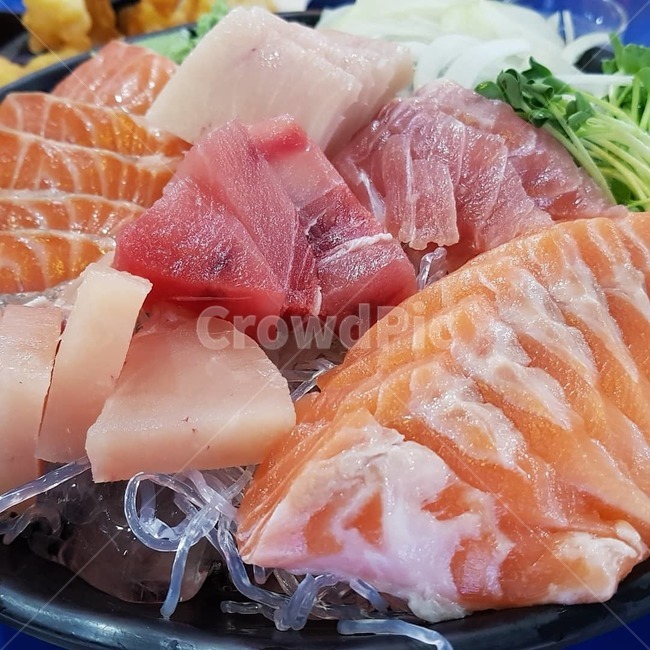 연어,참치,연어초밥,참치모듬회,참치초밥,음식,식재료,요리,food,cook,meal,dishes,food reserves,수산물,해산물,fishery products,seafood,일식,일본음식,일본요리,Japanese food,Japanese dishes,Japanese meal,Japanese cook