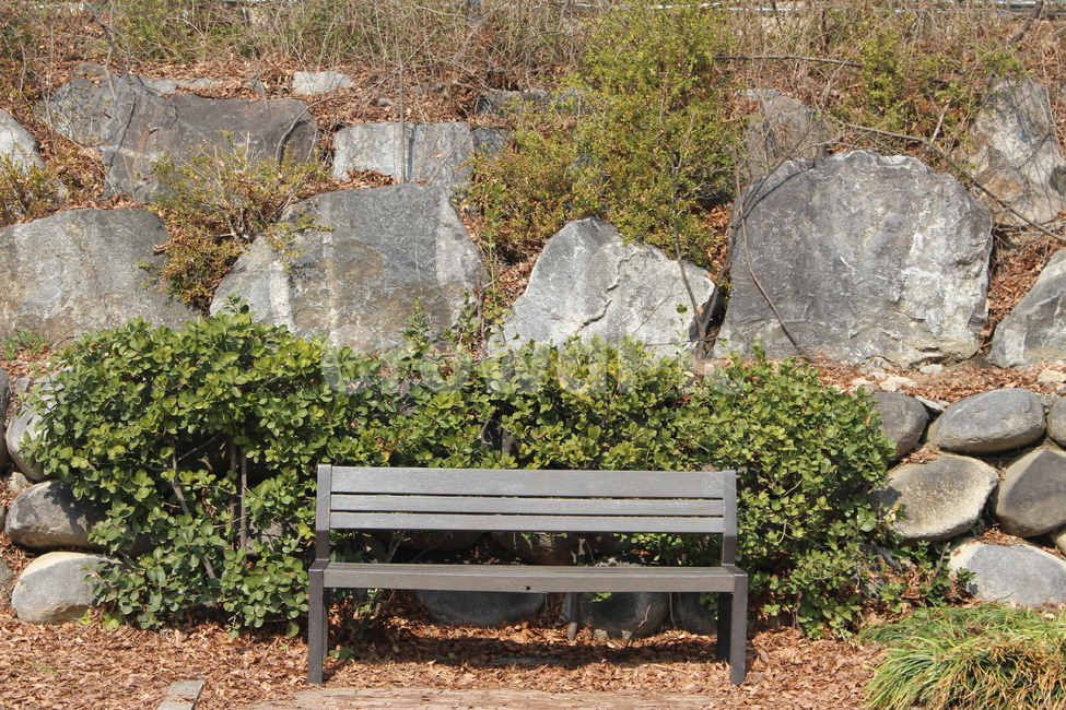 furniture,가구,bench,벤치,자연,풀,나무벤치,의자,야외벤치