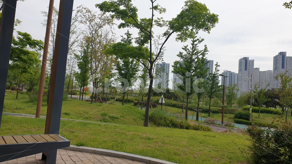 풍경,초록,도심속자연,공원,여유
