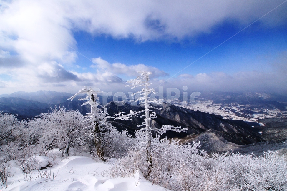 덕유산,설경,푸른하늘,눈,상고대,무주,주목,겨울,계절,winter,season,자연,풍경,nature,landscape,outdoors,옥외,tree,나무,plant,식물,fir,전나무
