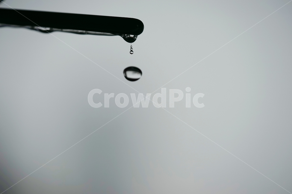 물,물방울,방울,표면장력,빗방울,비,비오는날,rain,rainy,흑백,모노톤,monochrome,black and white