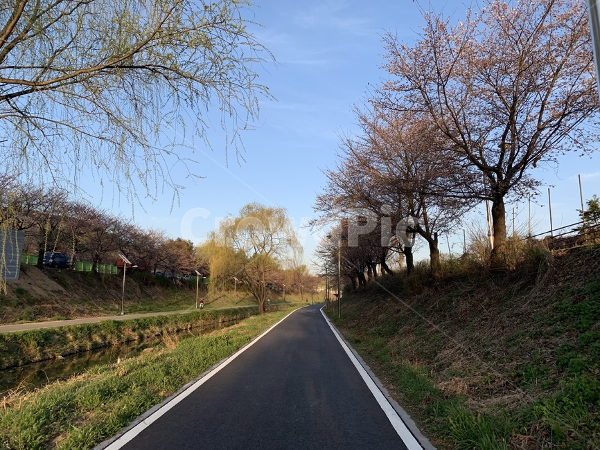 산책,산책로,봄산책,그림자,길