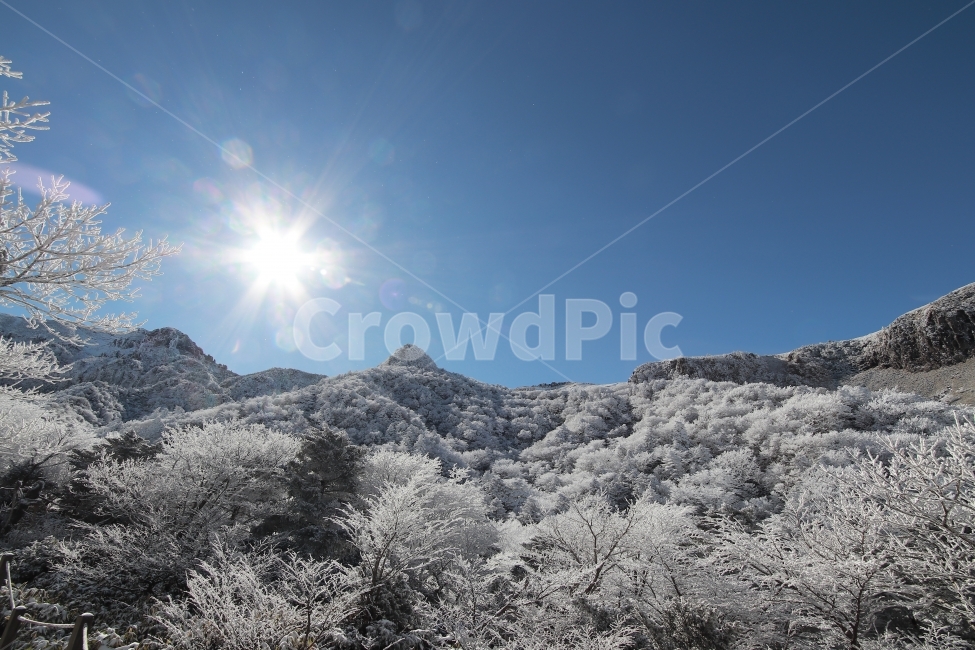 한라산,상고대,설산,겨울,겨울산행,눈꽃,진달래대피소,성판악,관음사,제주도,제주,백록담,겨울,계절,winter,season,자연,풍경,nature,landscape,한국자연풍경,한국자연경관,korea nature landscape,제주도,jeju,jeju island,outdoors,옥외,ice,얼음
