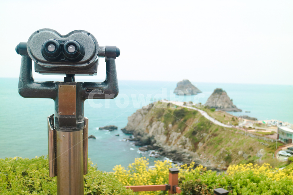 오륙도,유채꽃,바다,부산,섬,전망대,하늘,꽃,관광지,봄,오륙도스카이워크,자연,풍경,island,flowers,sea,busan,sky,nature,landscape,spring,자연,풍경,nature,landscape,한국자연풍경,한국자연경관,korea nature landscape,감성,sensible,feeling,사물,물건,오브젝트,thing,object,matter
