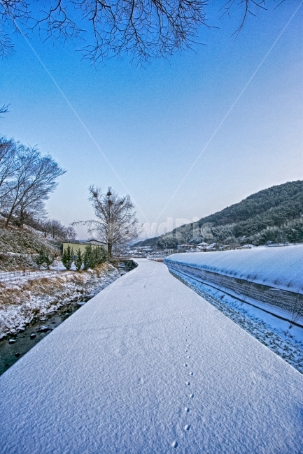 첫눈,겨울,HDR,감성,동네,snow,겨울,계절,winter,season,자연,풍경,nature,landscape,한국자연풍경,한국자연경관,korea nature landscape,시골,마을,country,rural,town,ice,얼음,outdoors,옥외,road,도로