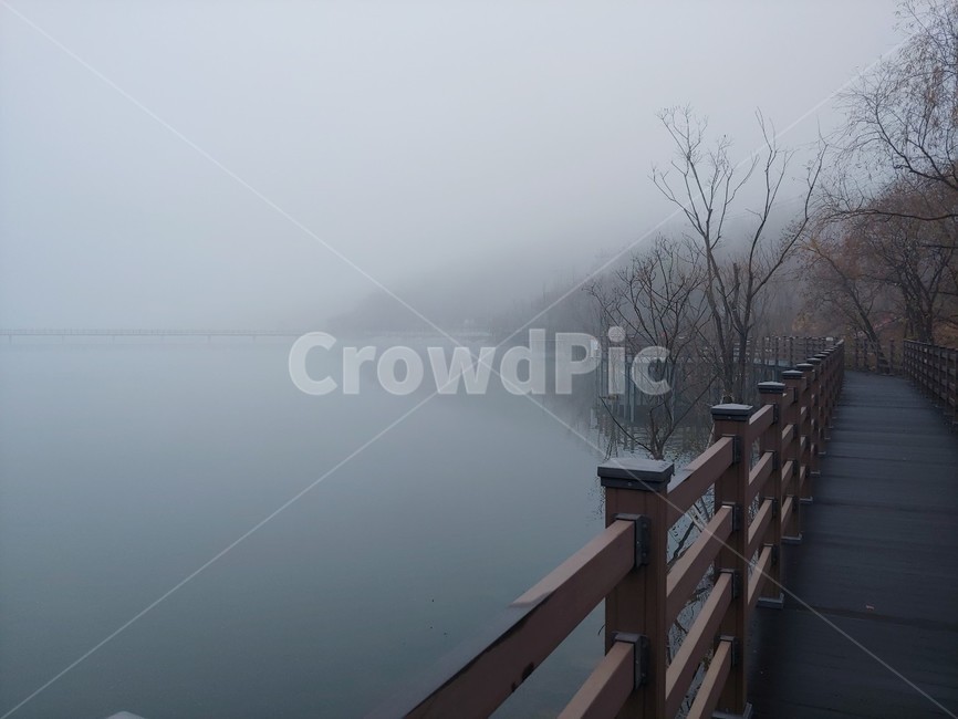 호수,겨울,겨울호수,안개,이른아침,lake,winter,misty
