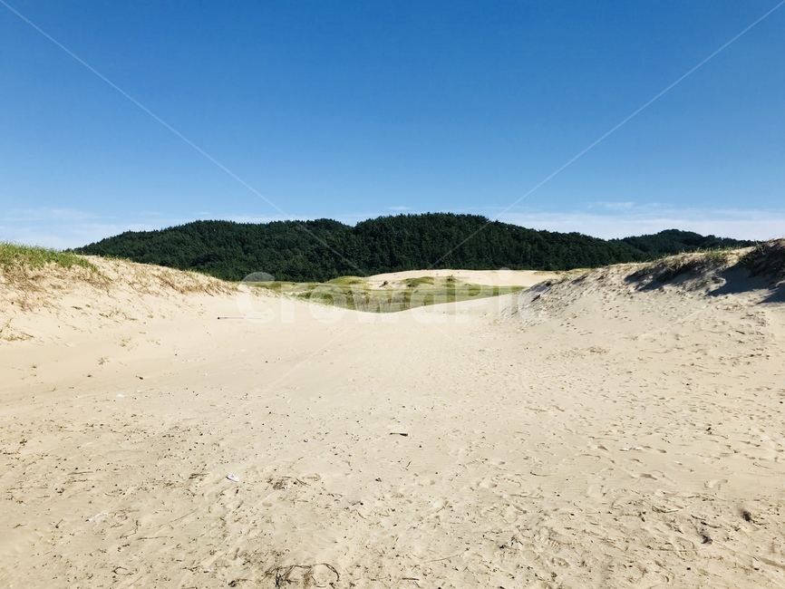 사구,sand,모래사장,모래언덕,바다,자연,풍경,nature,landscape,soil,흙,모래,outdoors,옥외,dune,모래 언덕