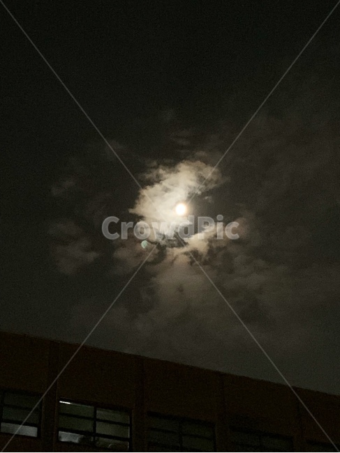 nature,자연,outdoors,옥외,달,moon,달빛