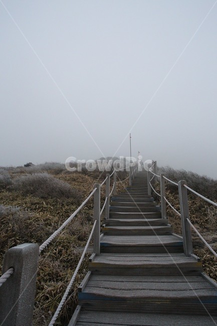 한라산,제주도,산,계단,상고대,자연,숲,겨울,눈,눈꽃,snow