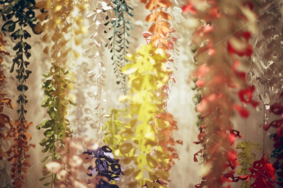 종이꽃,색종이,종이디자인,꽃,colorfull,필름사진,빈티지,무드,인테리어,실내디자인,interior design