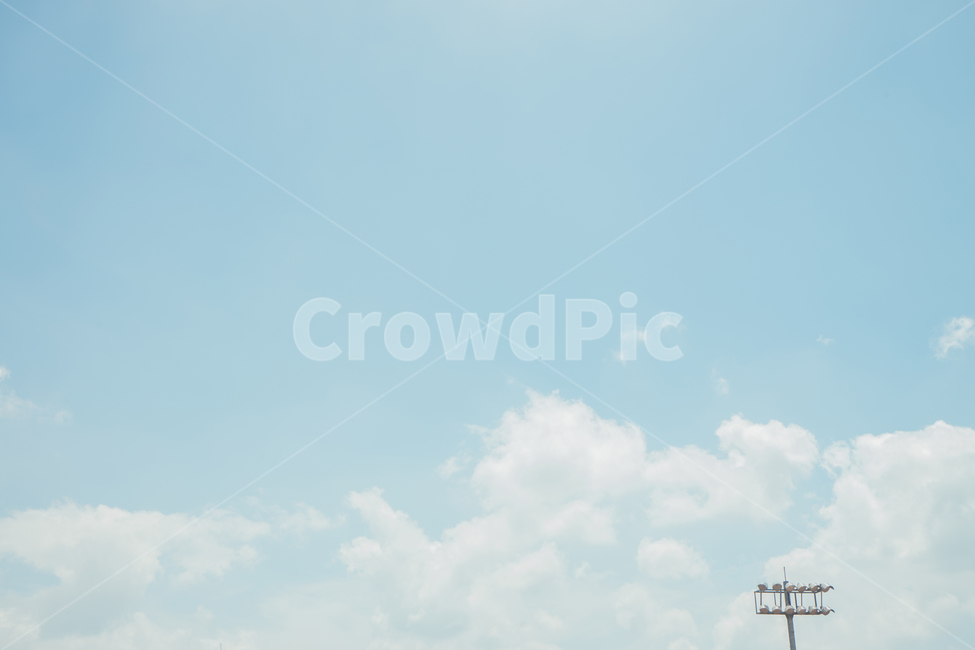 풍경,하늘,구름,여름,감성,파란색,하얀색,landscape,sky,cloud,tree,blue,summer,white,자연,풍경,nature,landscape