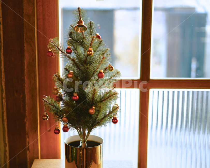 christmastree,크리스마스트리,ornament,장식,tree,나무,식물,plant,메리크리스마스,성탄절,merry christmas
