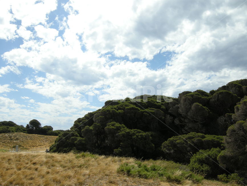 호주,퍼스,로트네스트,rottnest,구름,자연,nature,섬