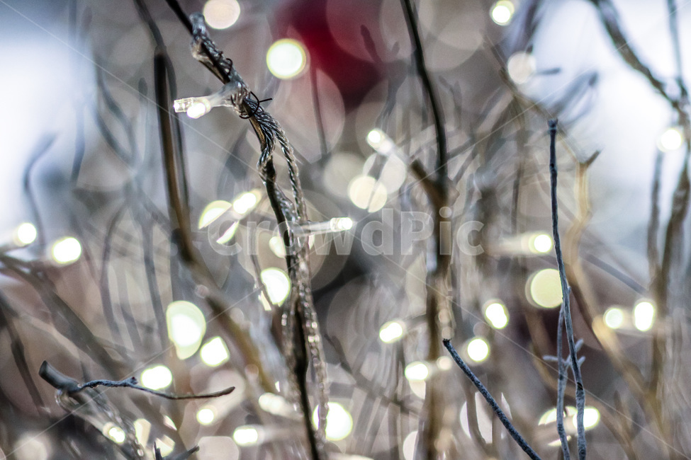 겨울,겨울색,보케,빛,겨울이미지,크리스마스이브,winter,bokeh,season,계절,빛망울,추위,아름다운,beautiful,야경,밤,풍경,nightscape,night,landscape,nature,자연,outdoors,옥외,ice,빙,snow,눈