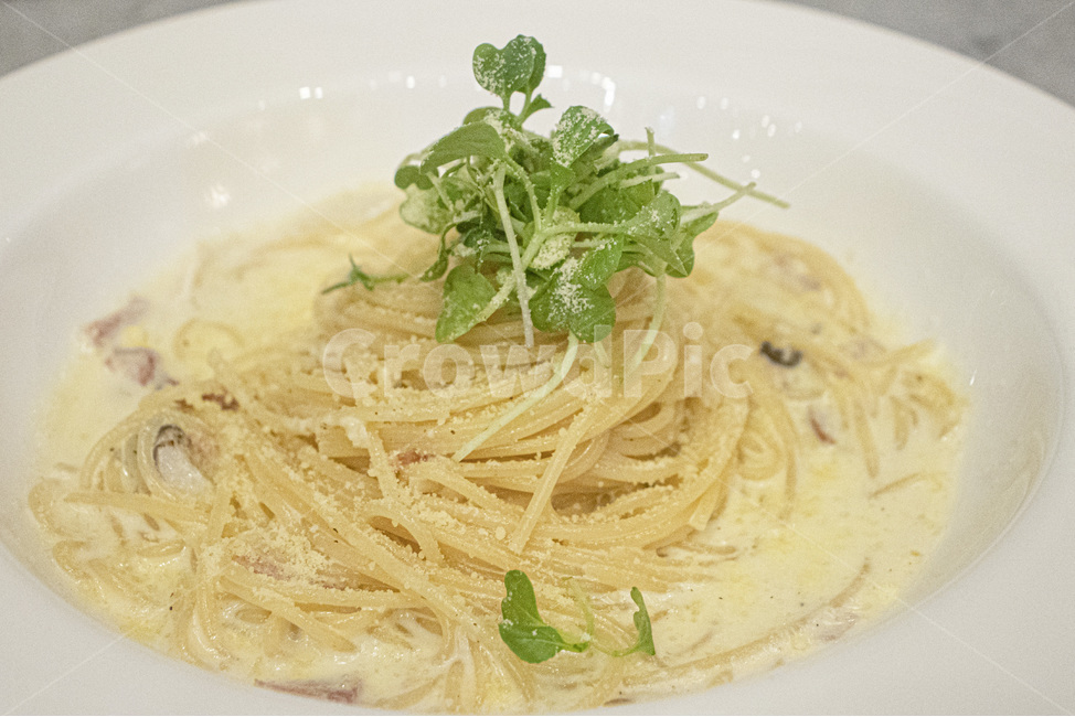 까르보나라,스파게티,파스타,carbonara,spaghetti,pasta,이탈리아요리,면요리,이탈리안요리,noodle,음식,식재료,요리,food,cook,meal,dishes,food reserves,면류,면요리,noodles,양식,서양음식,서양요리,western food,western dishes,western meal,western cook