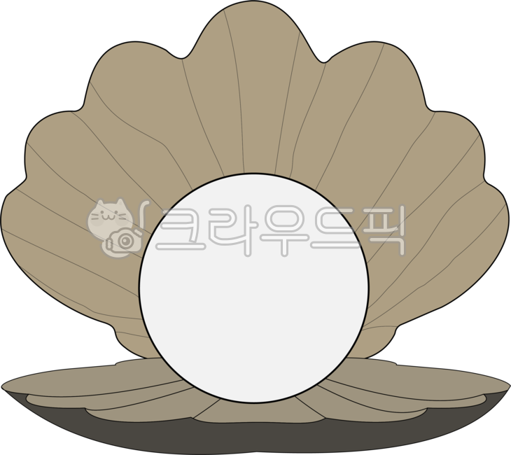 조개,진주,진주조개,조개일러스트,무척추동물,해양생물,해물