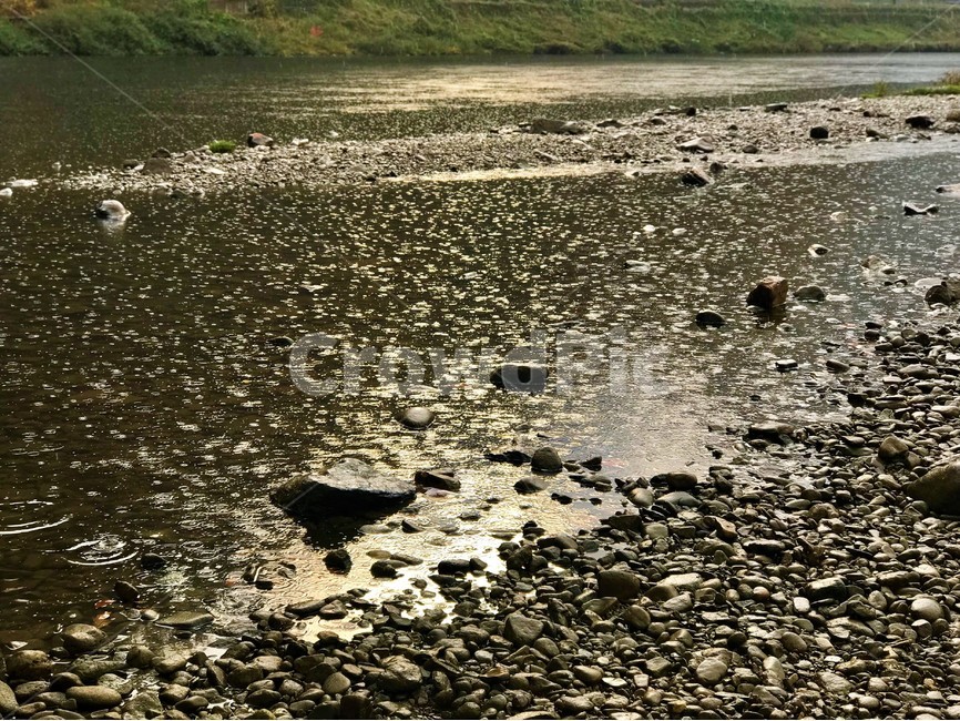 강,돌,빗방울,물결,자연,비,자연,풍경,nature,landscape