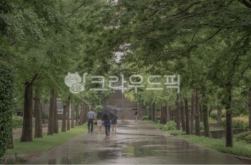 거리, 공원, 비오는풍경, 비오는, 비오는날, 사진,이미지,일러스트,캘리그라피 - UyoPhoto작가