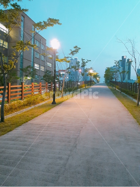 공원,길,산책,골목,풍경