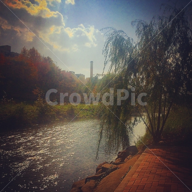 풍경,햇살,따듯함,개울,개천,공원,산책,walk,tree,stream,view,sunlight,warm,warmness,park,happy,happiness,행복,야외,봄,spring,outdoor,자연,풍경,nature,landscape,water,물