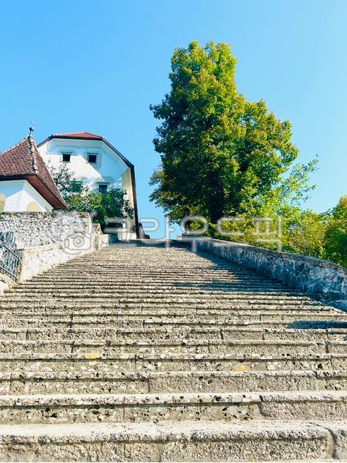 summer day,summer,blue sky,sky,uphill,ascent,stairs,blue day,nature