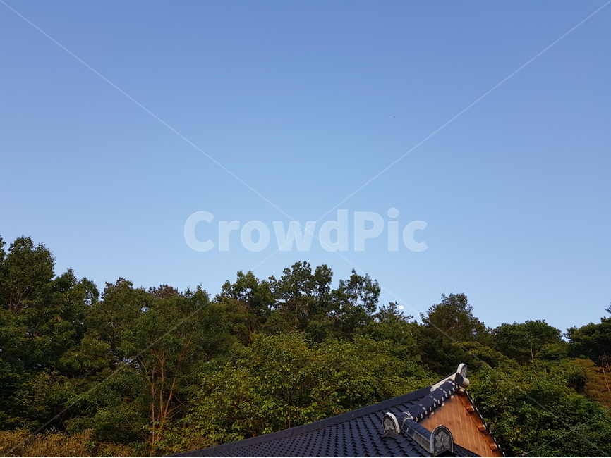 people,하늘,깨끗한하늘,기와집,산,배경이미지,초록,그린,sky,clearsky,day,greencolor,growth,lowangleview,nature,nopeople,outdoors,plant,scenicsnature,자연,풍경,nature,landscape,한국전통,한국문화,korean traditional,korean culture,roof,지붕