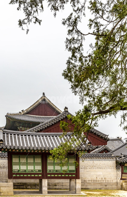 창덕궁,인정전,고궁,문화유산,궁궐,전통건축물,기와,기와지붕,문화재,전통가옥,건축물,기와담장,한국전통,한국문화,korean traditional,korean culture,건축물,건물외관,exterior,building,structure,architecture,construction
