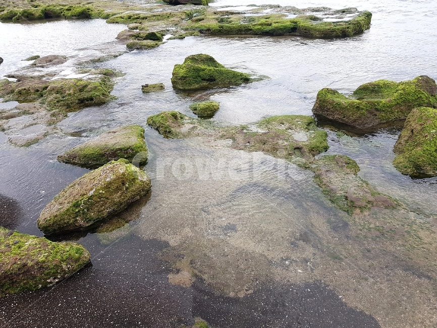 제주도,광치기해변,자연,바다,jeju,이끼,잔잔한,푸른,jejudo