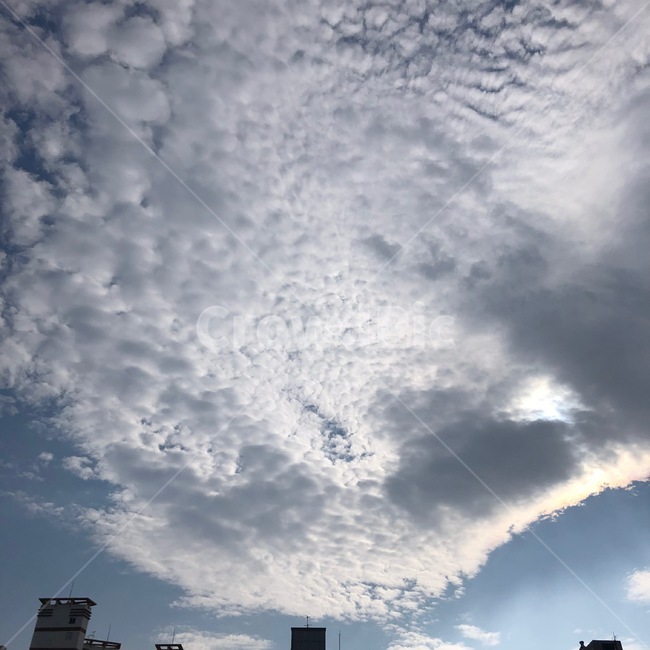 하늘,구름,흰구름,눈구름,감성,해