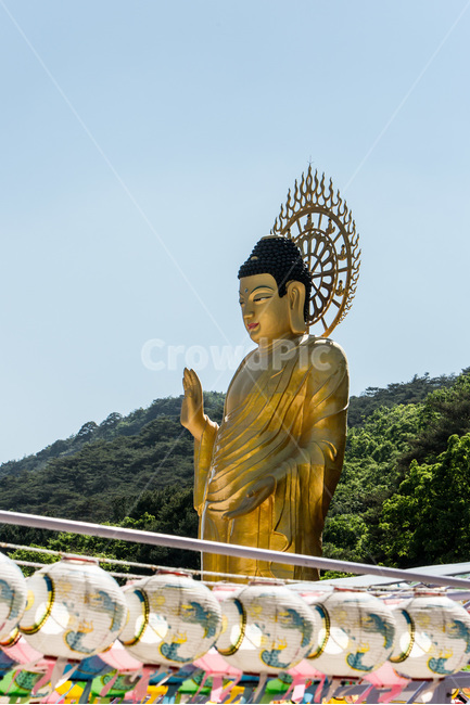 미륵불,불교,입상,전통,문화유산,한국전통,한국문화,korean traditional,korean culture,조각상,동상,석상,조형물,statue,bronze statue,stone statue,종교,신앙,religion,belief,faith