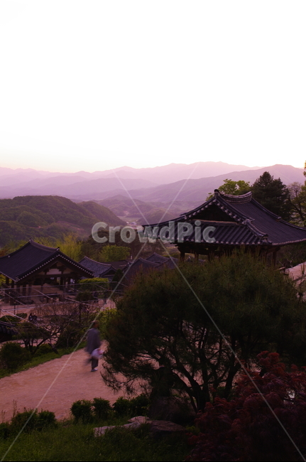부석사,사찰,건축,전통건축,traditional,전통,기와지붕,풍경,산,자연,풍경,nature,landscape,한국자연풍경,한국자연경관,korea nature landscape,한국전통,한국문화,korean traditional,korean culture,종교,신앙,religion,belief,faith,building,건물,person,사람,human,인간,architecture,건축물