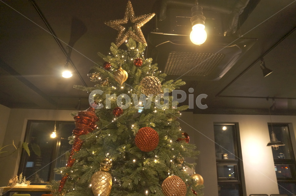 tree,나무,ornament,장식,christmastree,크리스마스트리,plant,식물,크리스마스,christmas,겨울,성탄절,트리,트리장식,겨울,계절,winter,season,메리크리스마스,성탄절,merry christmas