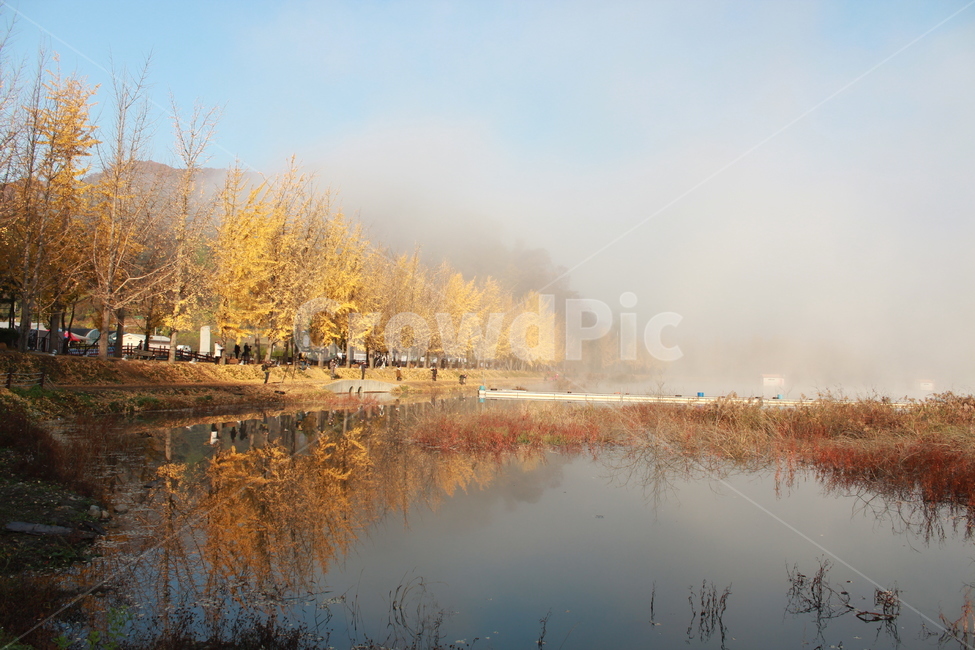 nature,자연,물,water,weather,가을,호수,반영,안개,물안개,fog,mist,자연,풍경,nature,landscape