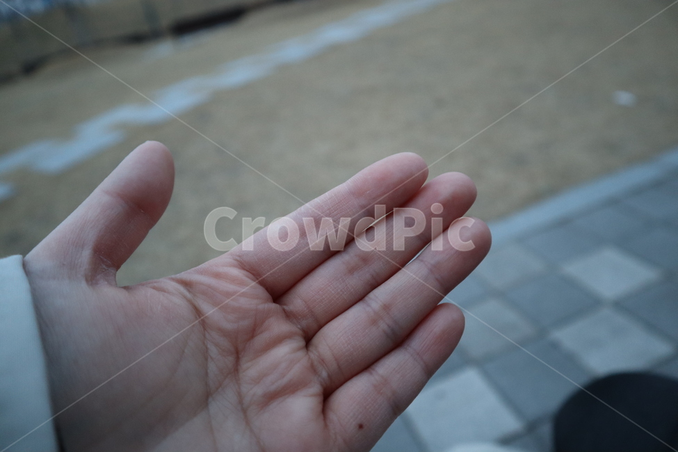 손,주름,손끔,공원,저녁,사람,인물,인간,human,person,신체일부,몸,body