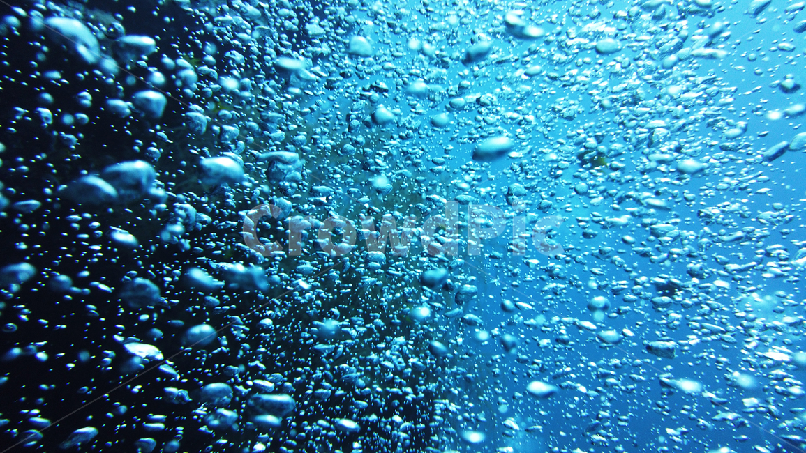 water,물,underwater,방울,수중,자연,nature