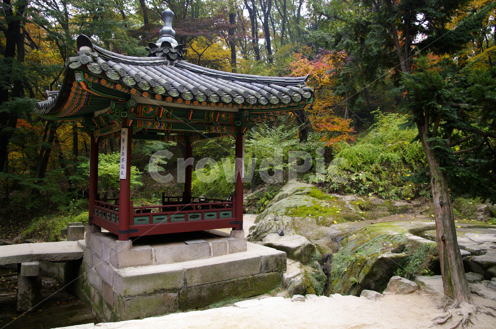 옥류천,소요암,소요정,창덕궁후원,고궁,건축,전통건축,traditional,전통,나무,식물,plant,한국전통,한국문화,korean traditional,korean culture,건축물,건물외관,exterior,building,structure,architecture,construction