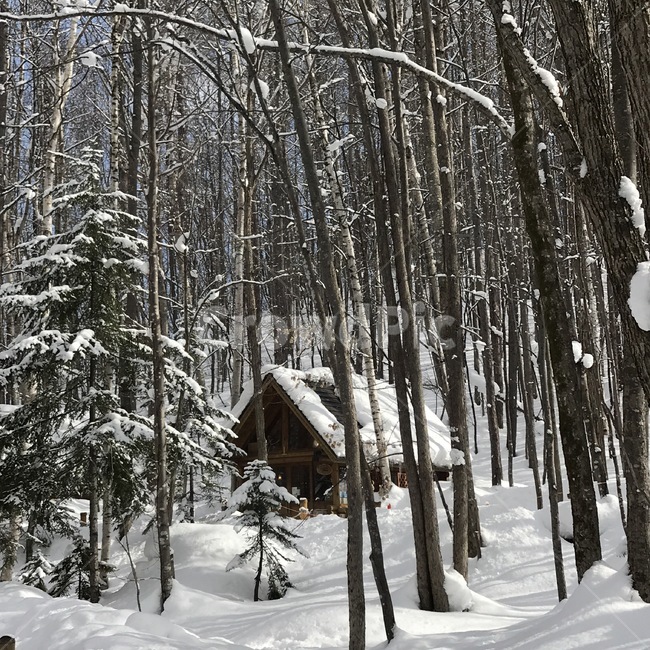 nature,자연,outdoors,옥외,building,건물,눈,snow,밍글테라스,후라노,일본,겨울,계절,winter,season