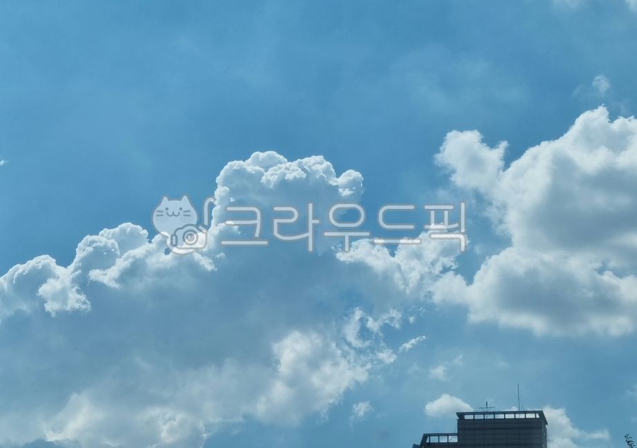 동물,구름,하늘,강아지구름,푸른하늘