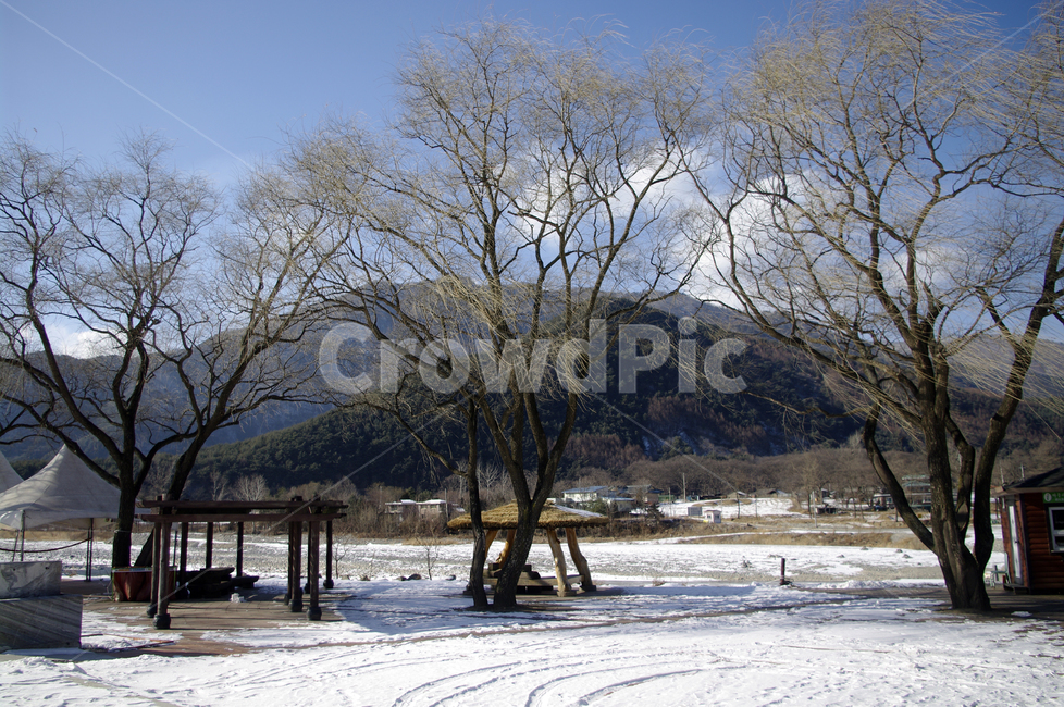 강,설경,나무,식물,plant,겨울,winnter,겨울,계절,winter,season,자연,풍경,nature,landscape,tree,tree trunk,나무 줄기