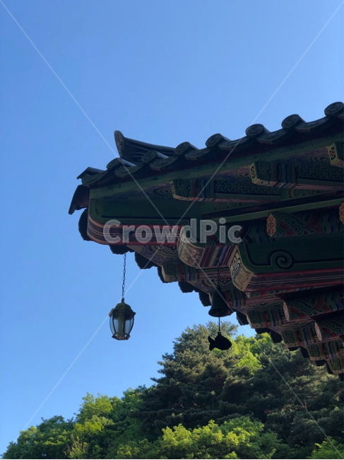 절,천왕사,하늘,단청,풍경,불교,자연,물고기,sky,감성,분위기